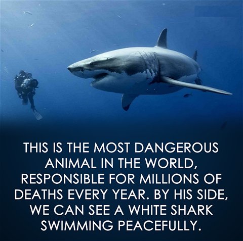 So True !!!