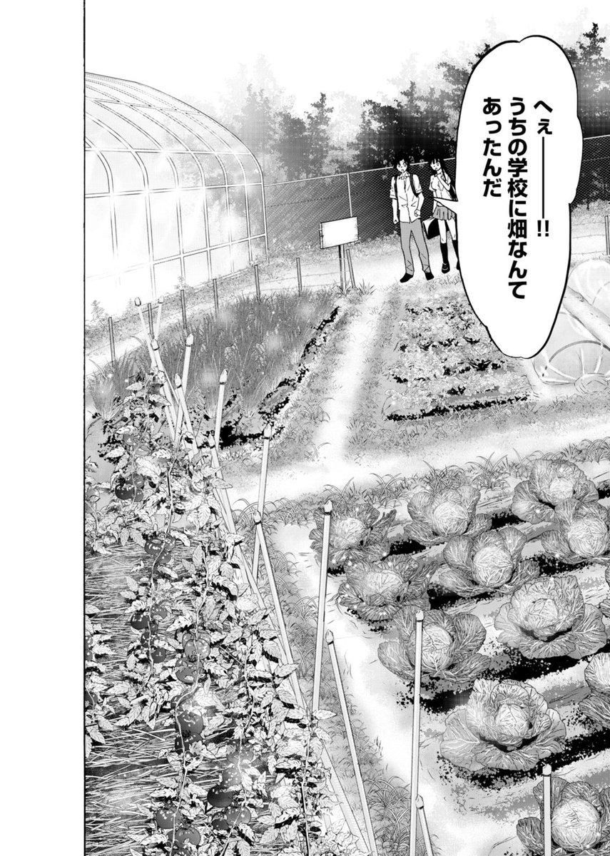 【武志のサイキョー飯!】
みんな、更新された16話は読んだくれたにの?
タケシのクラスメイトの不良達の
様子がいつもと違う…?
事件を解くキーワードは…野菜!?
ぜひチェックして欲しいにの(*'ω`)
https://t.co/8uyV3hCdI5
#サイキョー飯 #NINO