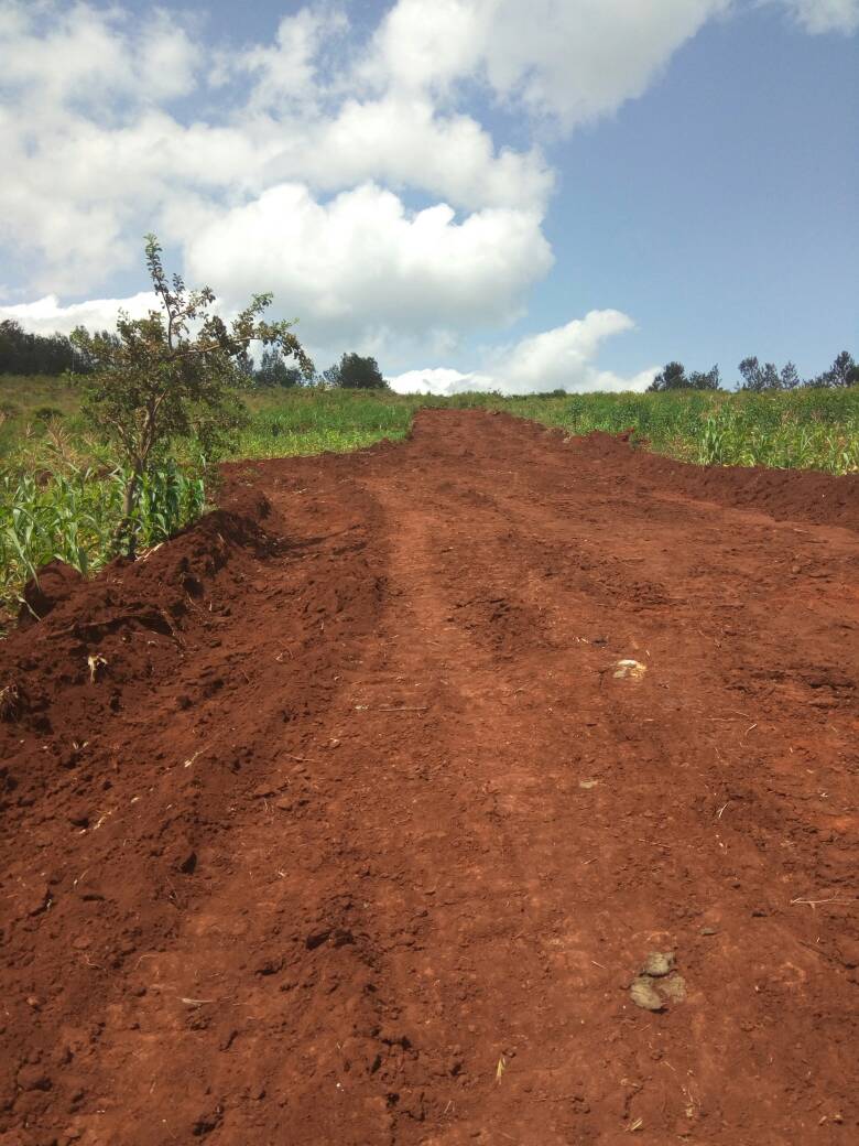 Digitalmarkete4's tweet photo. Call/Whatsapp 0716166742 #AfricanChildDay #GospoSwitchHangoutFriday #RuttoTenaBomet #NasaInTharakaNithi #MsetoFriday #NursesStrike https://t.co/WEUNvqD61w