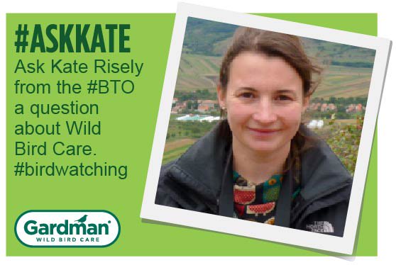 Gardman WBC tweet media