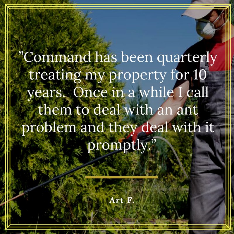 commandtermite's tweet image. Structures vary from one to another, and termites love to hide.