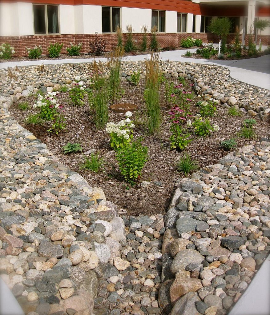 MnPCA's tweet photo. #Raingardens are designed to capture stormwater &amp; runoff, keeping it from overwhelming stormdrains. What does your rain garden look like? https://t.co/rvGTir6g4V
