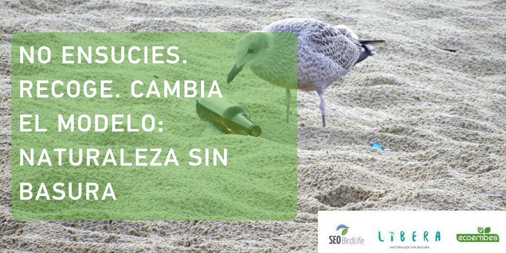 Cambia el modelo y verás cómo hasta tu mente se libera. 
#Libera1m2 proyectolibera.org