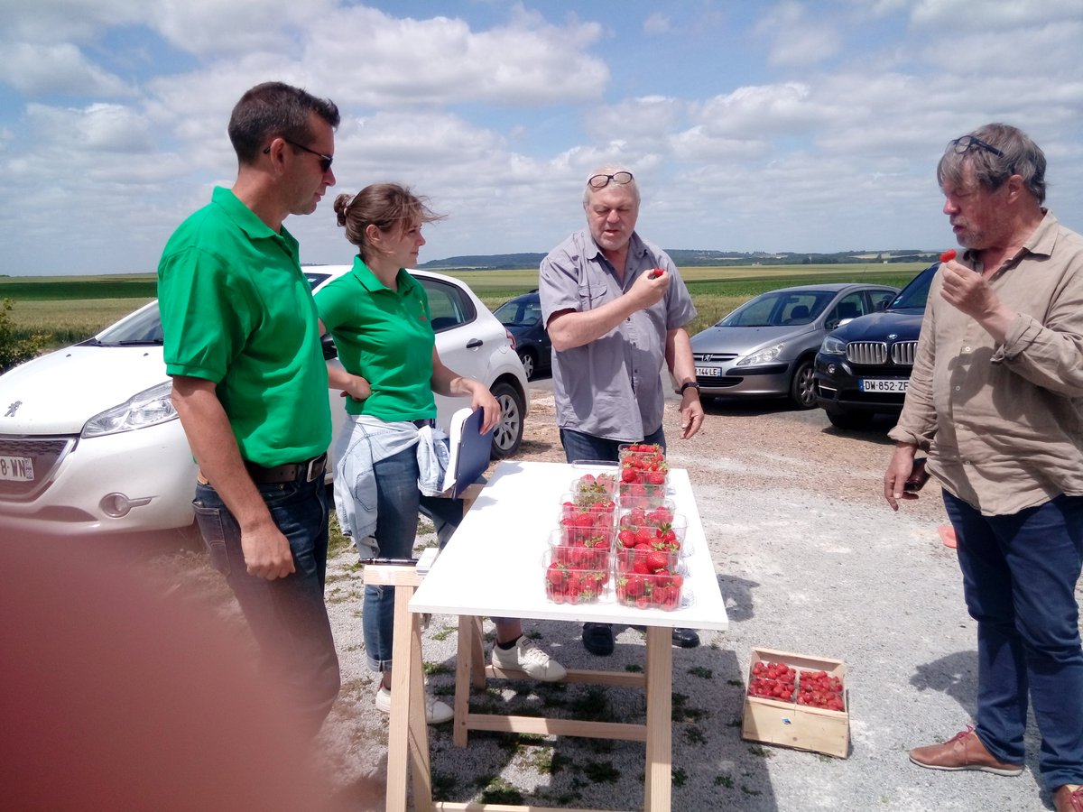 Polemaraicher's tweet photo. Succès pour le test gustatif de fraises auprès des clients à Cléry en Vexin !! @CAIDF https://t.co/UNcmZyq98K