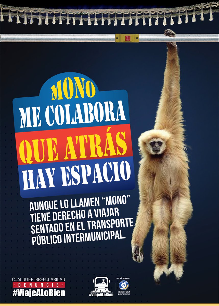 Terminal Manizales tweet media