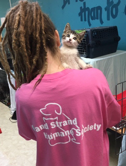 humaneworldorg's tweet photo. 40 kittens are on the way to @secondchanceas from Grand Strand Humane Society in SC! β€οΈ #HSUSEPP #FelineFriday https://t.co/QipwZsj84j