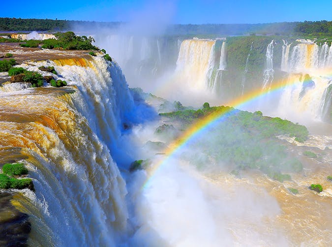 Brazil Carnival Tours tweet media