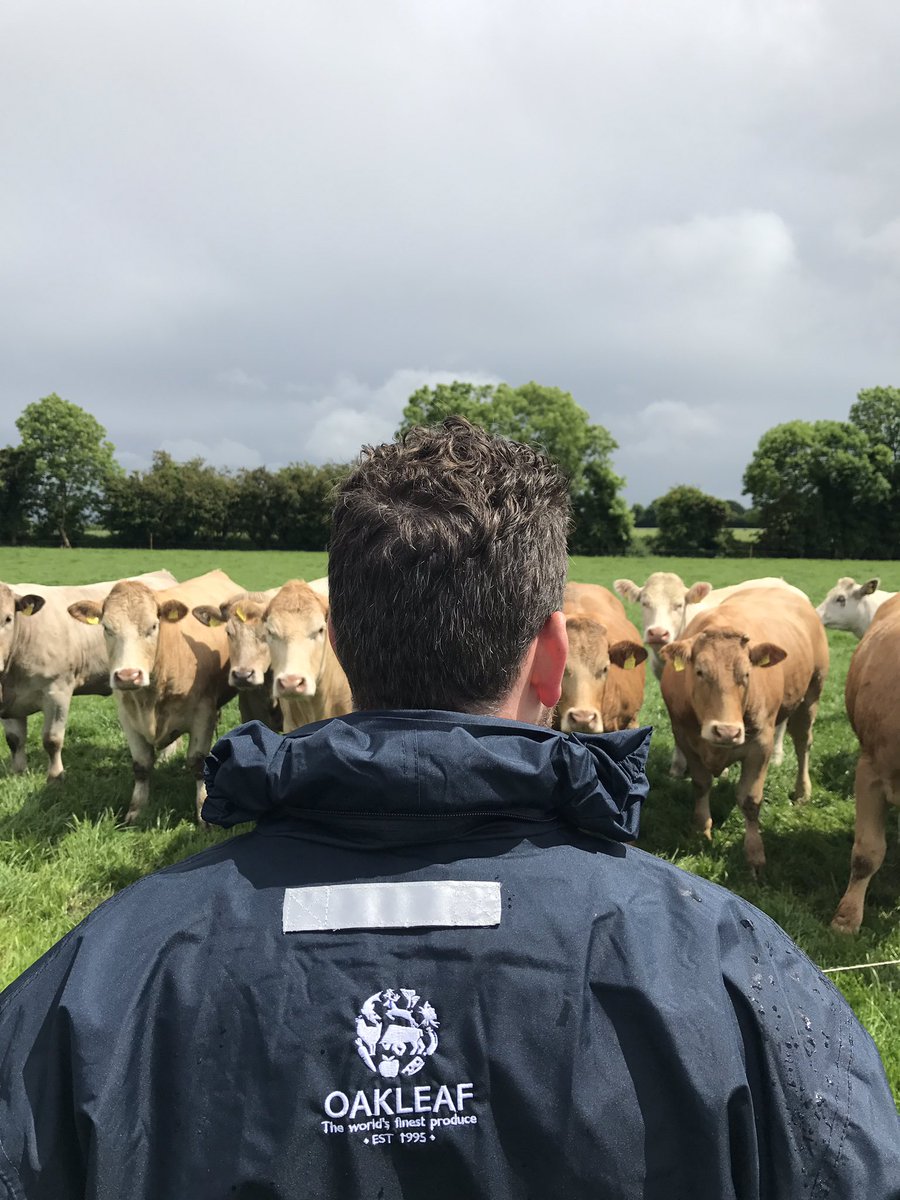 A fabulous trip to #ireland last week! Beautiful grass fed beef!