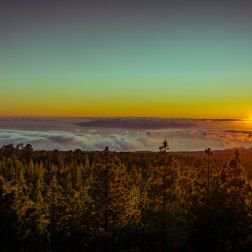 Stargazing in Tenerife with <a href="/TravelTenerife_/">Travel Tenerife</a>  > buff.ly/2suisqk 

by Sara Alexis (@solivagantsara)

#Tenerife #FridayFeeling