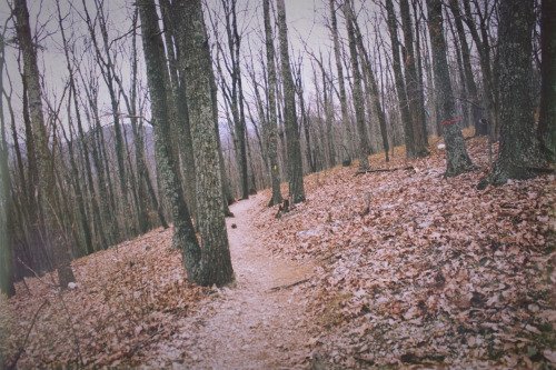 // Current layout or this? *DON'T STEAL*