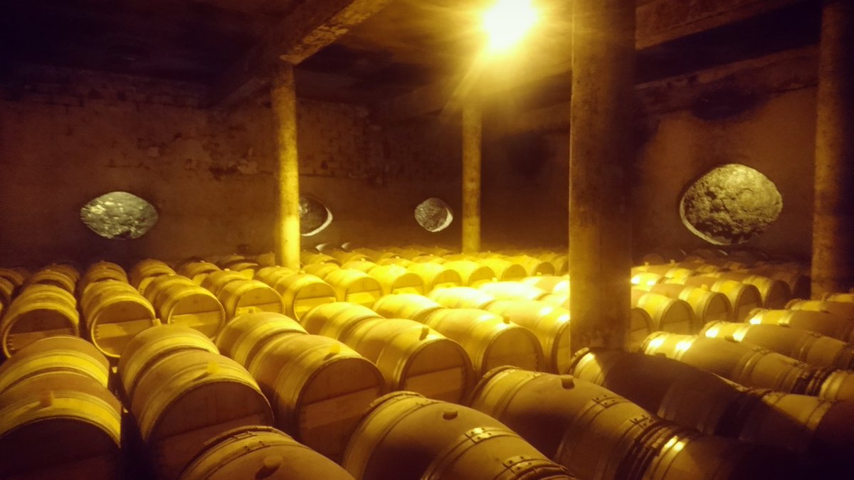 KevinBoisserie's tweet photo. Domaine Clos des Verdots @BergeracVins - Déjeuner @medefperigord #Bergerac #vindebergerac #gastronomie https://t.co/0EPje2gHAD