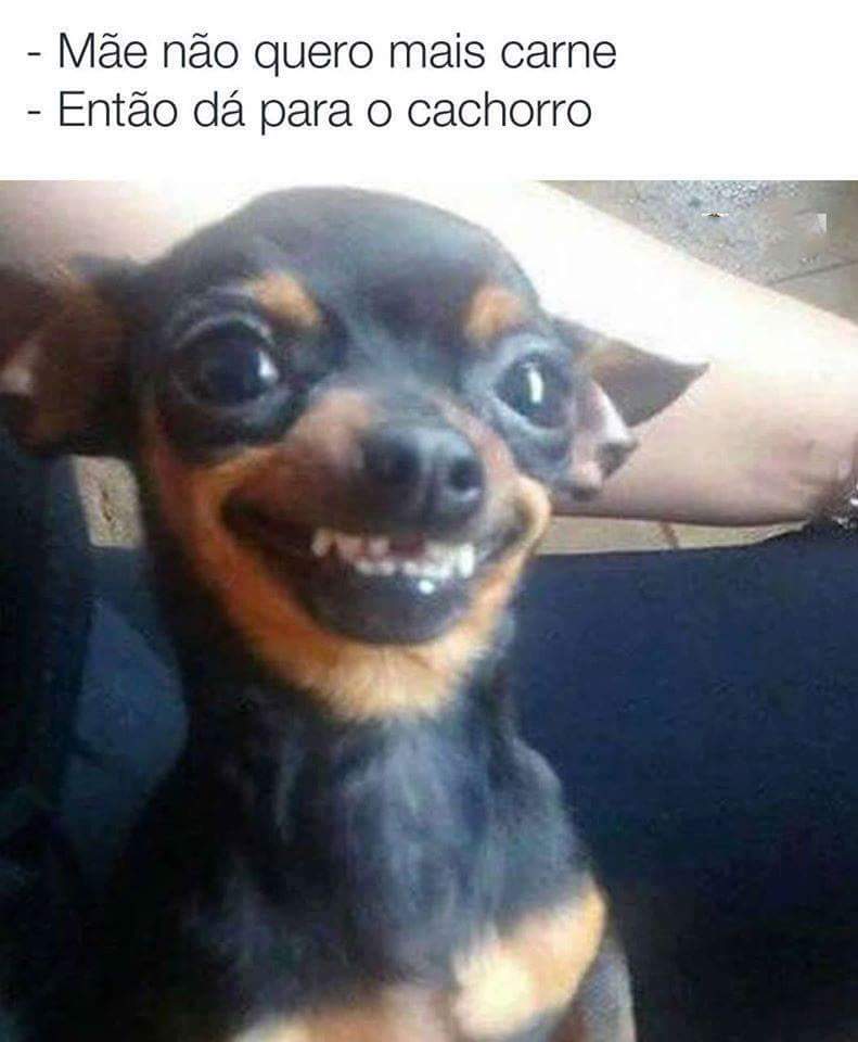 dougdhaos's tweet photo. #SextaDetremuraSDVbom
Dia https://t.co/4glrcoT7LQ