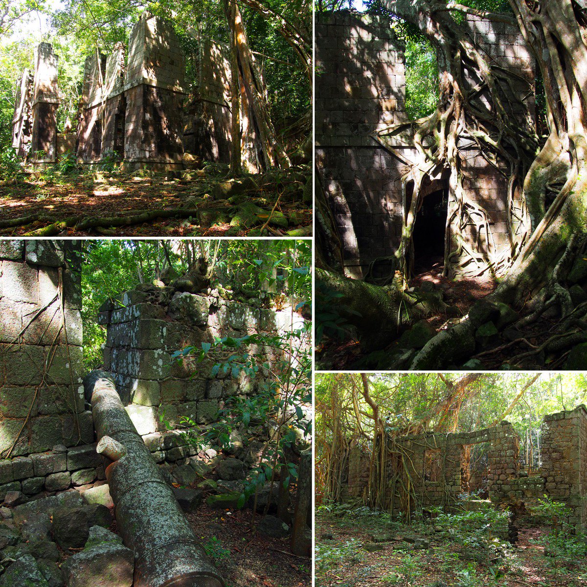 Explore mysterious jungle-covered ruins and enjoy awesome coastal views on the Fort Shirley Garrison trails in the Cabrits NP #Dominica
