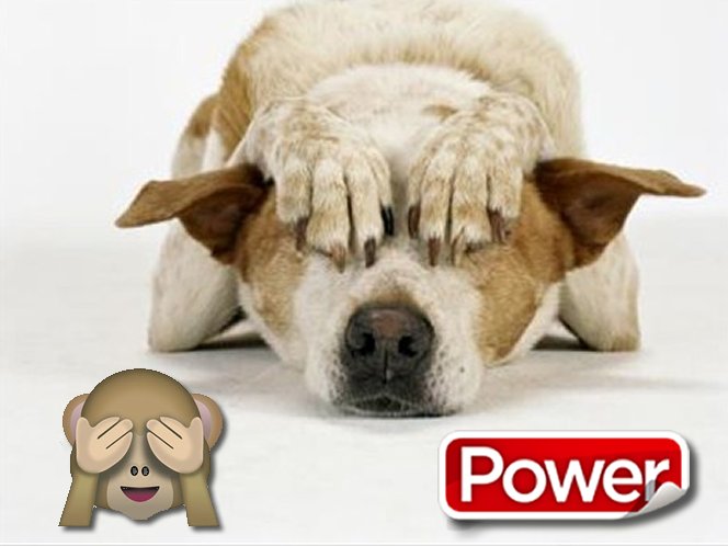 Mascotas Power tweet media