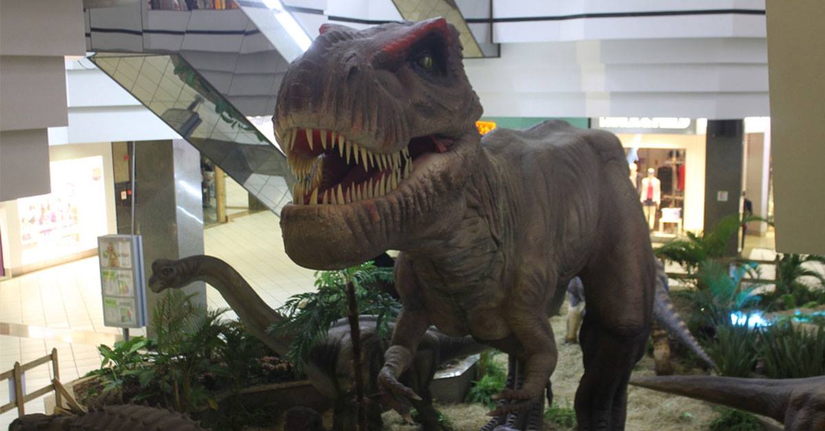 beiramarshop's tweet photo. #BeiramarShopping Dinos em contagem regressiva no @beiramarshop -> https://t.co/AtheljMd46 https://t.co/iT6zxgdmFs