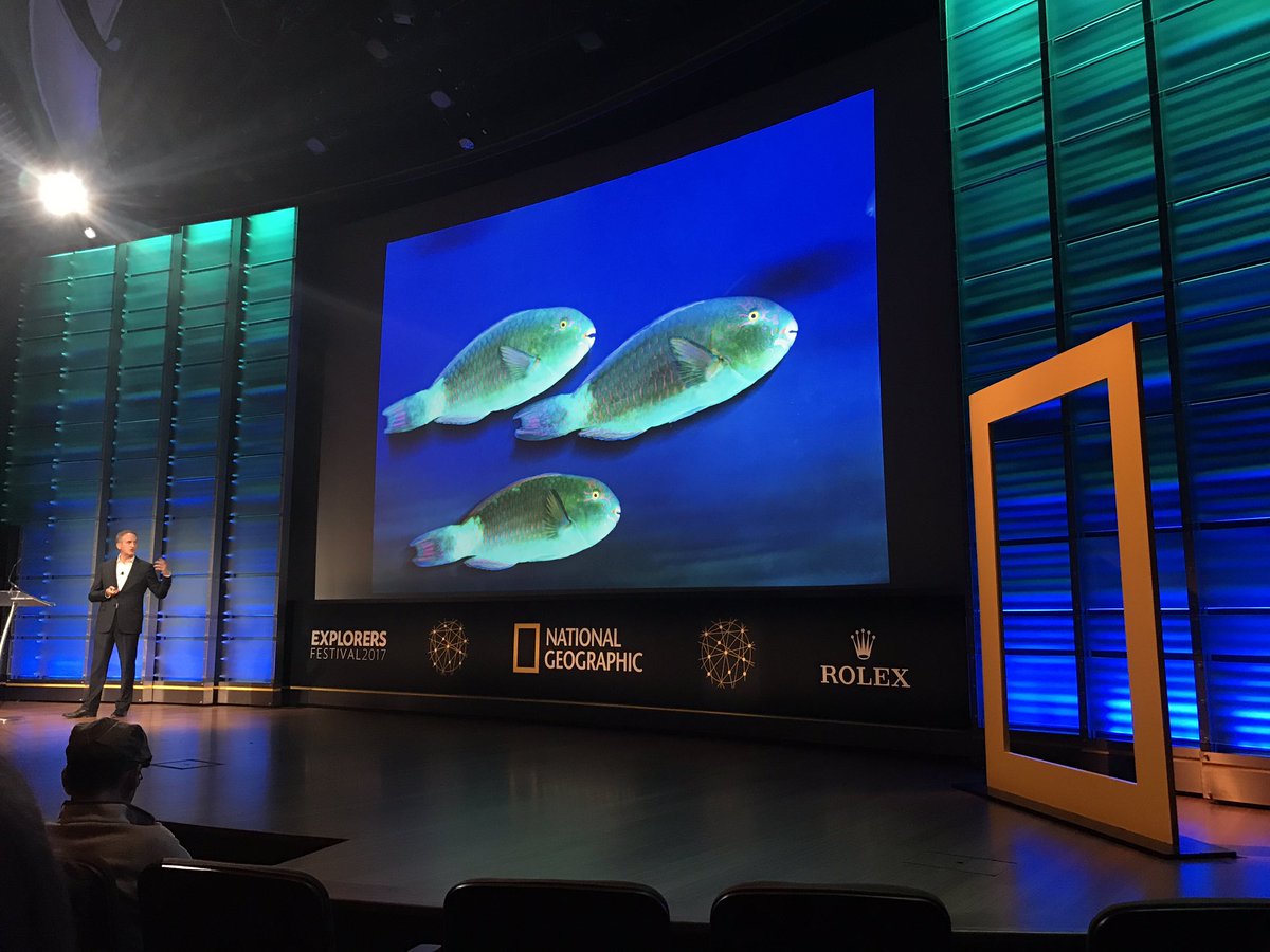 MegPetratis's tweet photo. Happening now... an eye opening and inspiring talk by @natgeo photographer @Brian_Skerry #NatGeoFest https://t.co/IwANIIPNuw