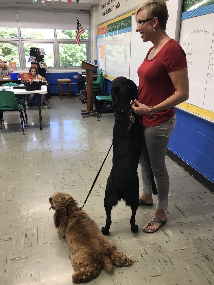 druryprecollege's tweet photo. #IWantToBeAVet is working on positive dog work with Ms. Misty from #SideKick https://t.co/s4pbBzBuCl
