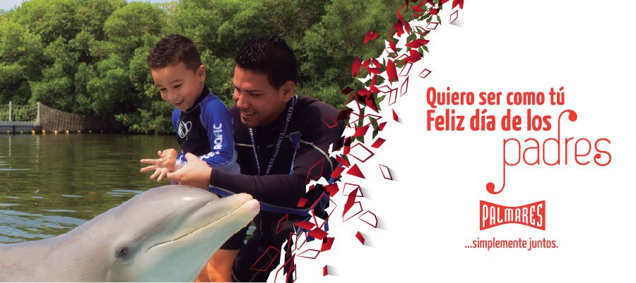 Ofertas del Día de los Padres que ponemos en sus manos... para usted y su familia por toda Cuba. 
dropbox.com/sh/5s9phaey7dt…