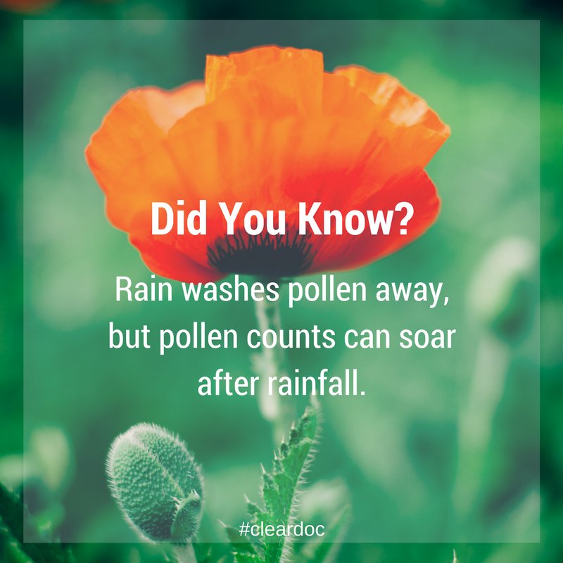 ClearDocHealth's tweet photo. #cleardoc #healthyinformation https://t.co/su1TYcn6CY