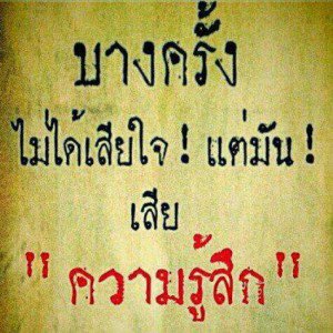 SouthSide_TH's tweet photo. ตามนี้ https://t.co/n3OopsgH8V
