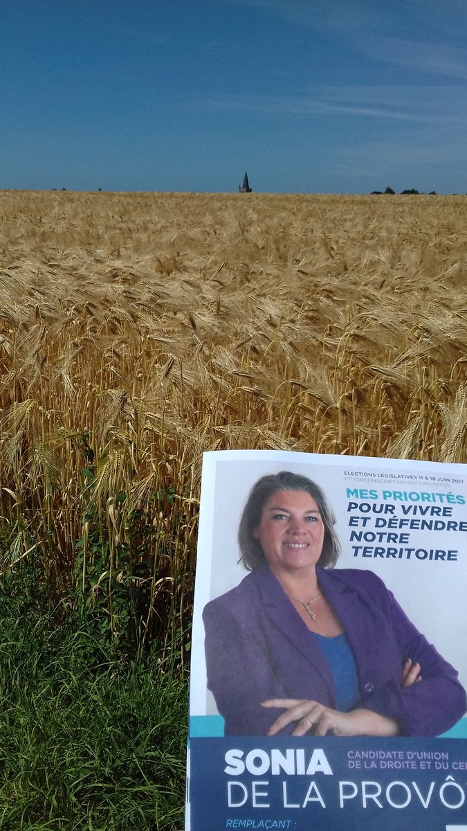 Sonia de la Provôté tweet media
