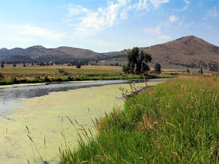 Will_M_Miller's tweet image. 15 Jun1873- #Modoc Curley Headed Jack kills himself @ Stukel Ford on the Lost River (OR), while prisoner on way to Ft. Klamath.
#ModocWar