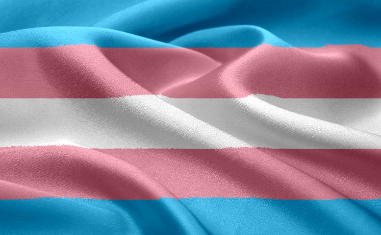 Existen dos modelos de bandera trans: La creada en 1999 por Mónica Helm y  la versión de Jennifer Holland de 2002 WorldPride2017 | EFE Estilo |  Scoopnest