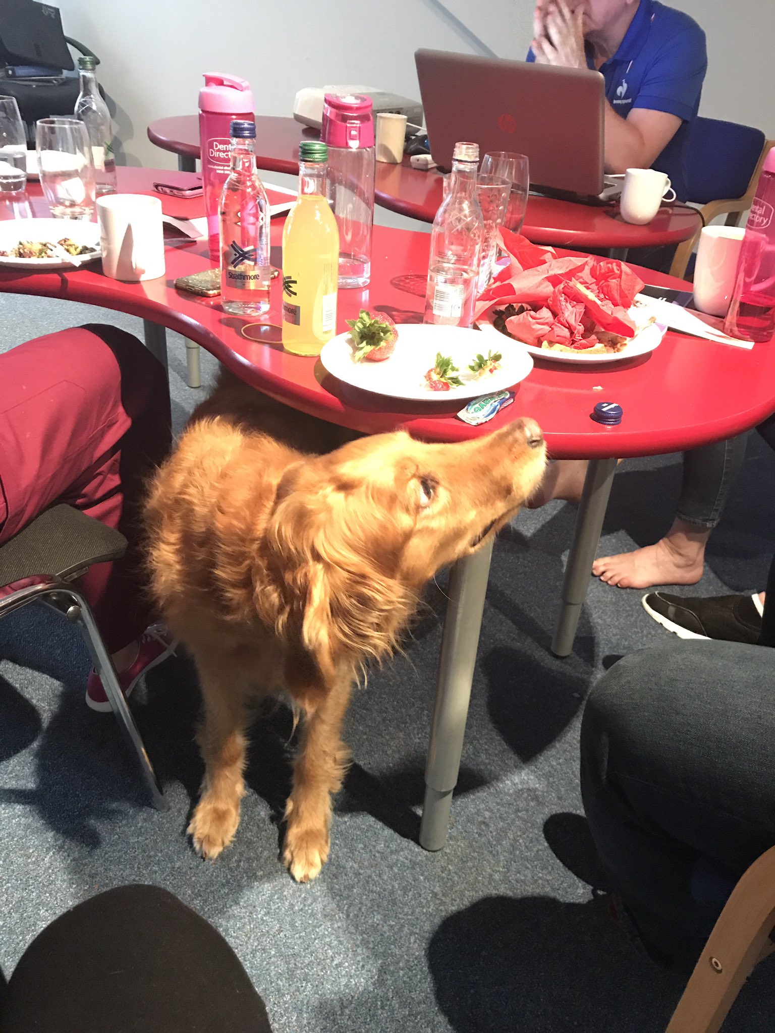 QCourt Dental Studio (QcourtDental) / Twitter