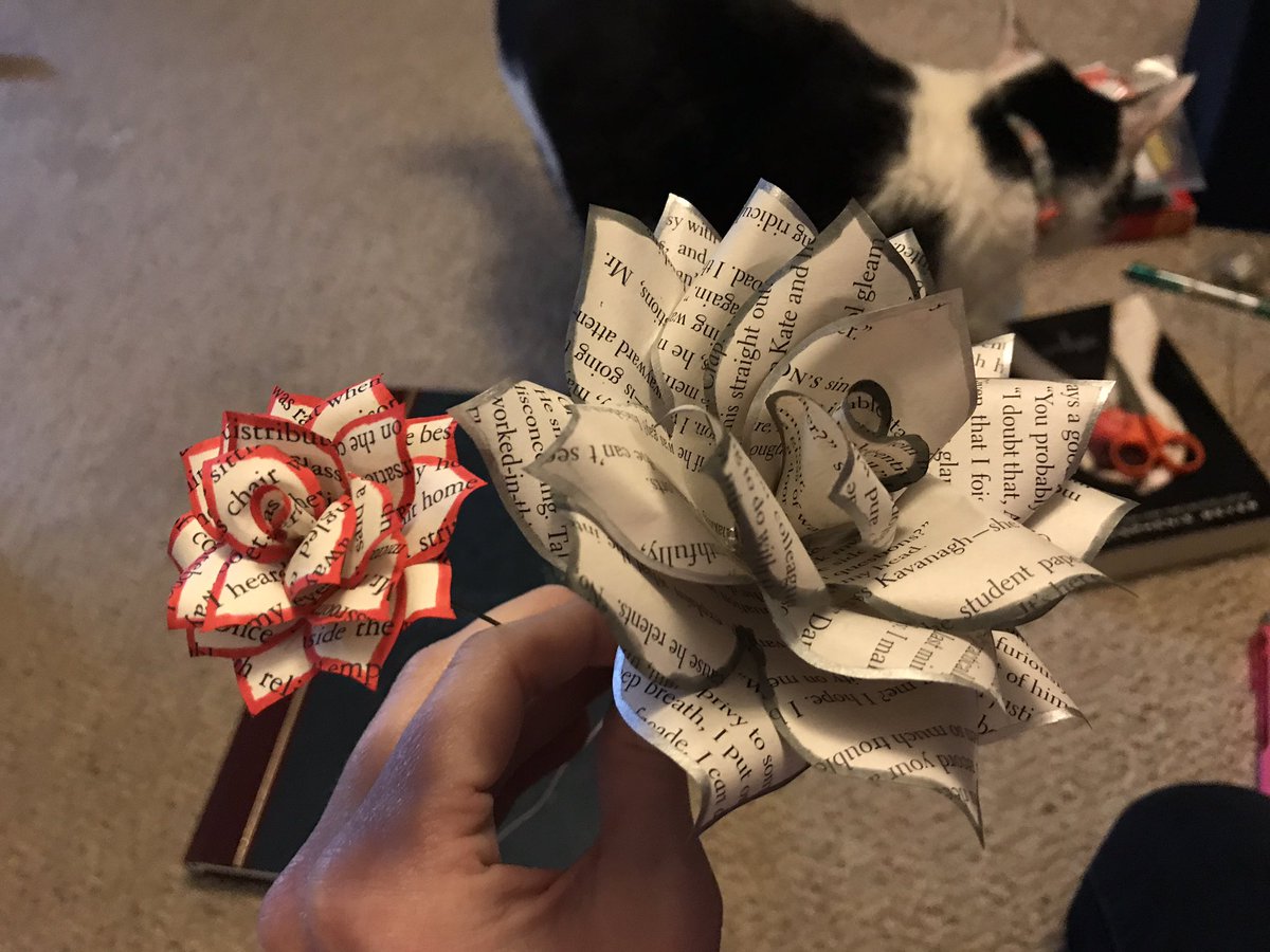 cricketchaos's tweet photo. #PaperFlowers #DIY the little one is from #Twilight and the big one is from #50shades https://t.co/zsH2UrYeZC