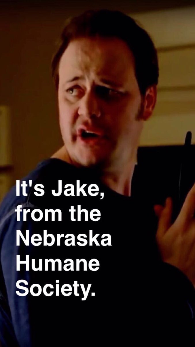 NEHumaneSociety's tweet photo. Guys.... Jake from NHS is still looking for a home. SnapChat fame included with his adoption. https://t.co/yZmHCUNc8h