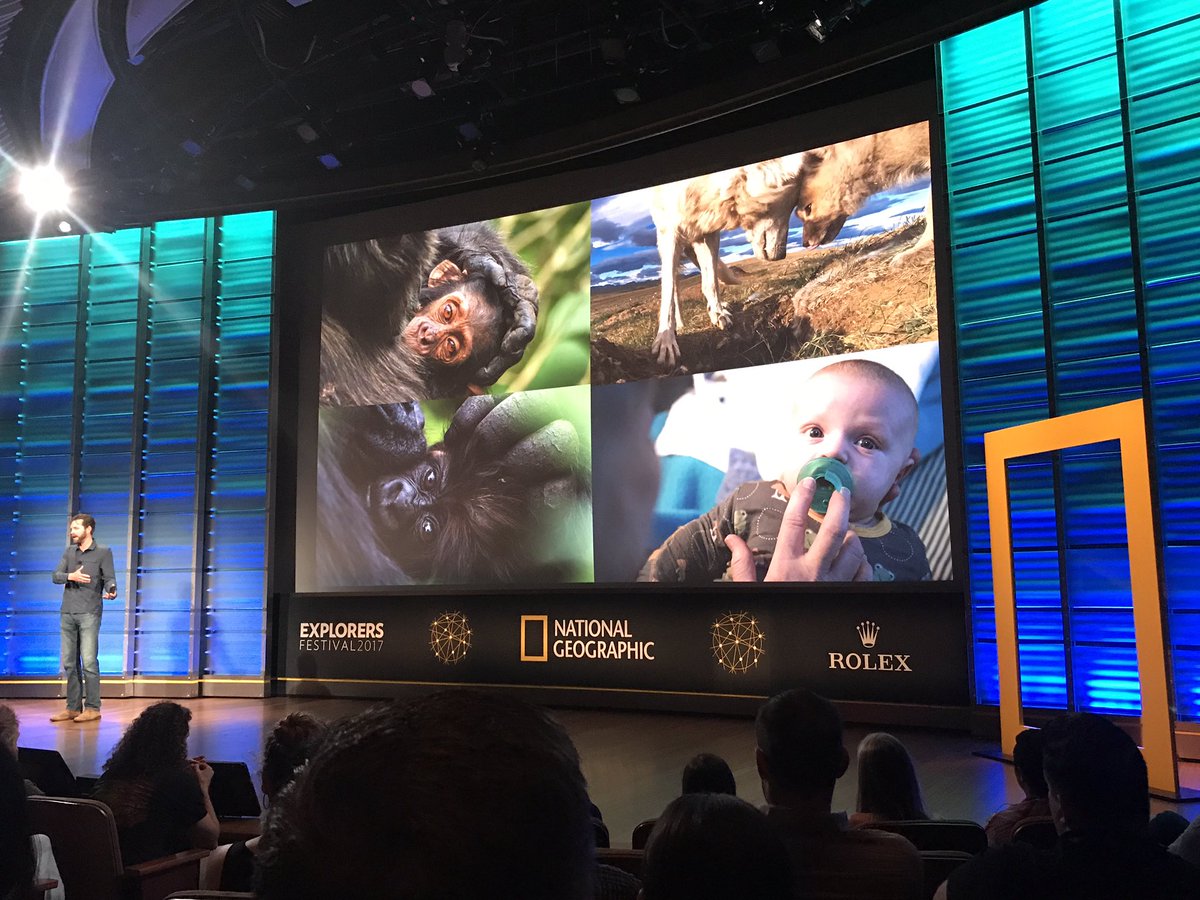 MegPetratis's tweet photo. "When you make an emotional connection to something... you're much more likely to help save it."- photographer Ronan Donovan. #NatGeoFest https://t.co/OCJh964nWI