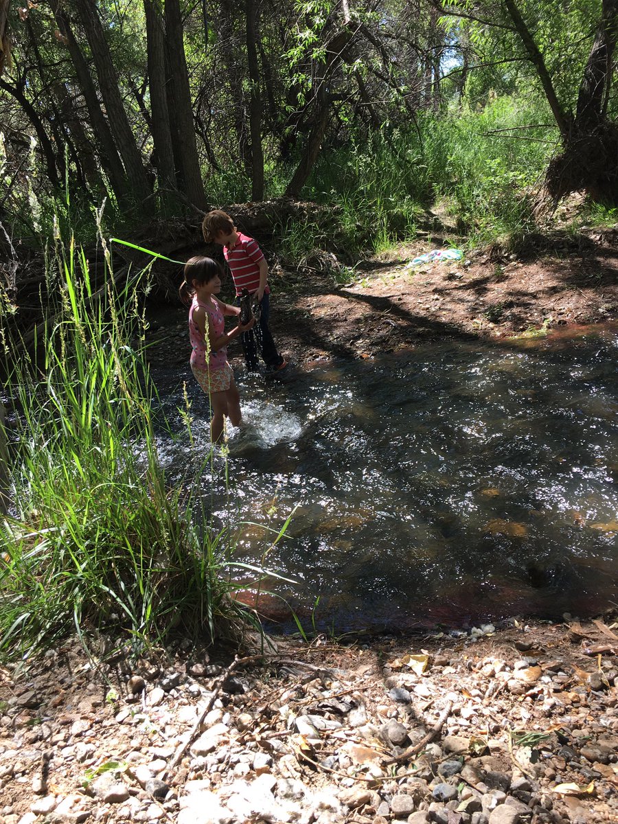 Campers had a very fun week getting muddy and wet ☀️💧 #Outdoors #AdventureWeek