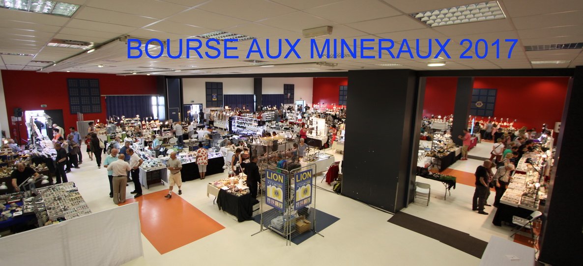 LionsDourdan's tweet photo. Merci à tous les exposants et participants de la 31ème Bourse aux Minéraux organisée par la Lions Club de Dourdan! 
#Dourdan #Essonne #Lions https://t.co/0SNEGf5mcy