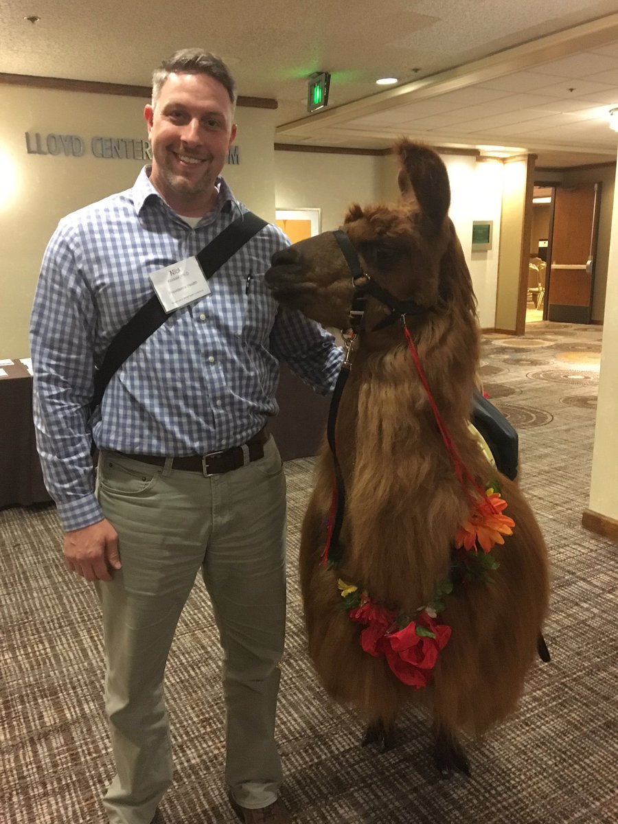 Nicholas Kockler tweet media