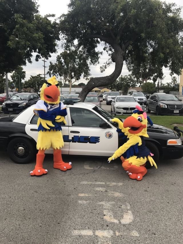 JoeTheParrot97's tweet photo. Happy #NationalMascotDay to The Best Parrots in The Valley Of the Sun #SVPolyPride #NewvsOld https://t.co/c6BYxukGS3