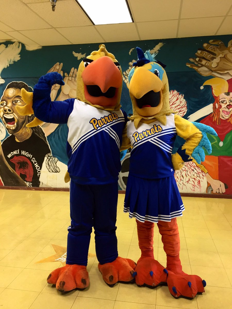 JoeTheParrot97's tweet photo. Happy #NationalMascotDay to The Best Parrots in The Valley Of the Sun #SVPolyPride #NewvsOld https://t.co/c6BYxukGS3
