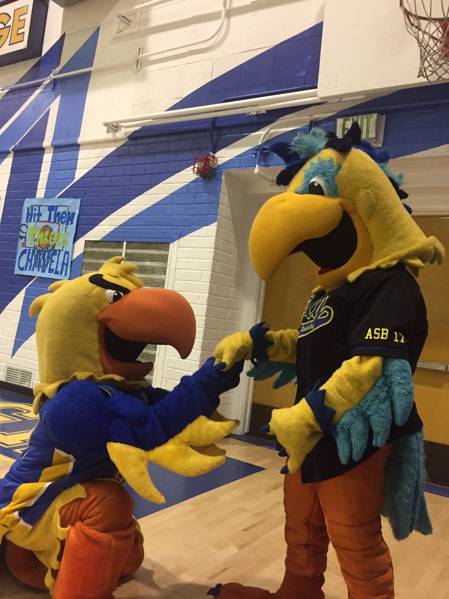 JoeTheParrot97's tweet photo. Happy #NationalMascotDay to The Best Parrots in The Valley Of the Sun #SVPolyPride #NewvsOld https://t.co/c6BYxukGS3