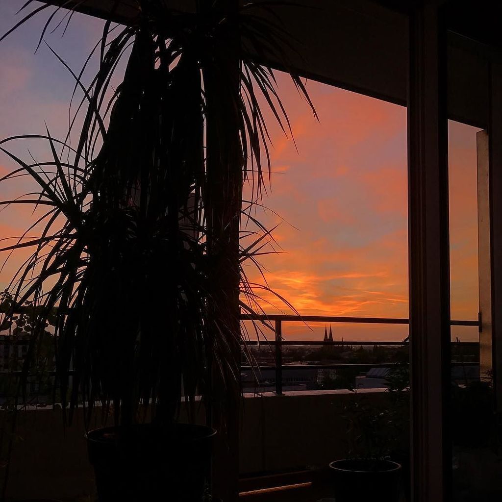 OneSteoui's tweet photo. Sky porn again 🌅#sunset #skyporn #strasbourg #alsace #view #window #church #cityscape #roof #fire #clouds #cloudsc… https://t.co/ykRpC0gA7u https://t.co/FYuKmHEiLH