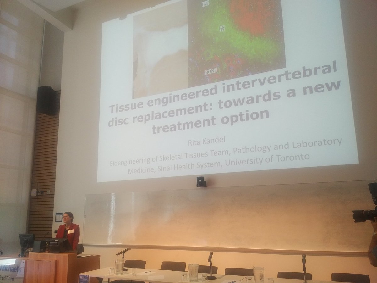 MichaelKolios's tweet photo. Dr Rita Kandel delivers 2nd keynote on new approaches for intervertebral disc degeneration #iBEST2017 @StMikesHospital @RyersonResearch https://t.co/liL9XkWxdh