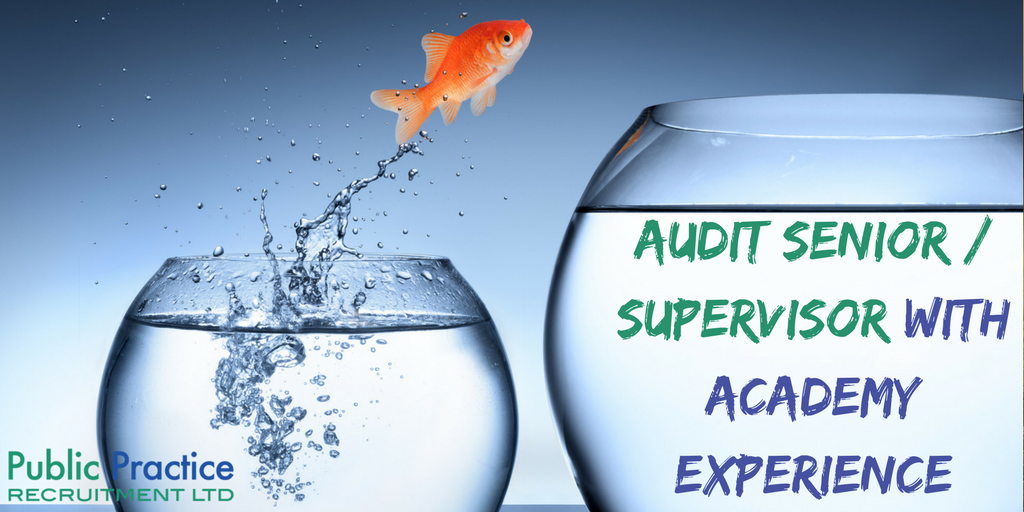 Are you a #audit #senior with #academyexperience ? #applynow #accounting #accountancy #jobs goo.gl/PWc8Rm