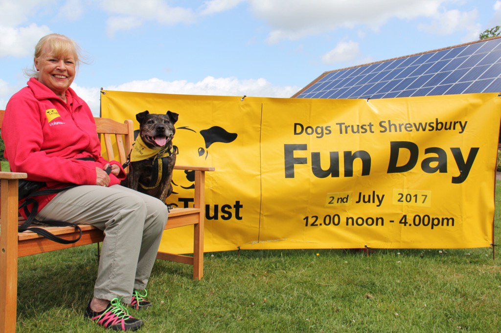DogsTrust Shrewsbury tweet media