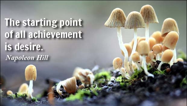 Wateris_Health's tweet photo. The starting point of all achievement is desire. Napoleon Hill https://t.co/izq2aDmulF
