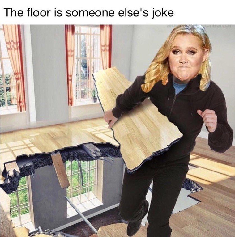 viral_royal's tweet photo. Burn https://t.co/IOu4dEBx9h #amy_schumer #comedy #Memes #2016 #2017 https://t.co/rIeYCCm4Av