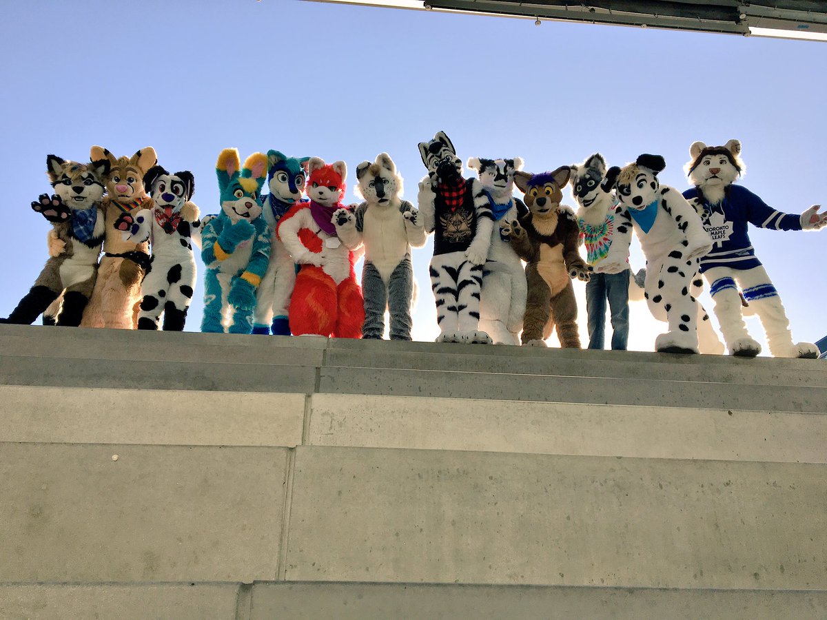 Zolar_the_Zolf's tweet photo. #FursuitFriday is best when shared with friends ✌️Tags + @PepperMuzz @ClumzyLion   📷 thanks to: @Vulgarities https://t.co/zZZYMYMJuG