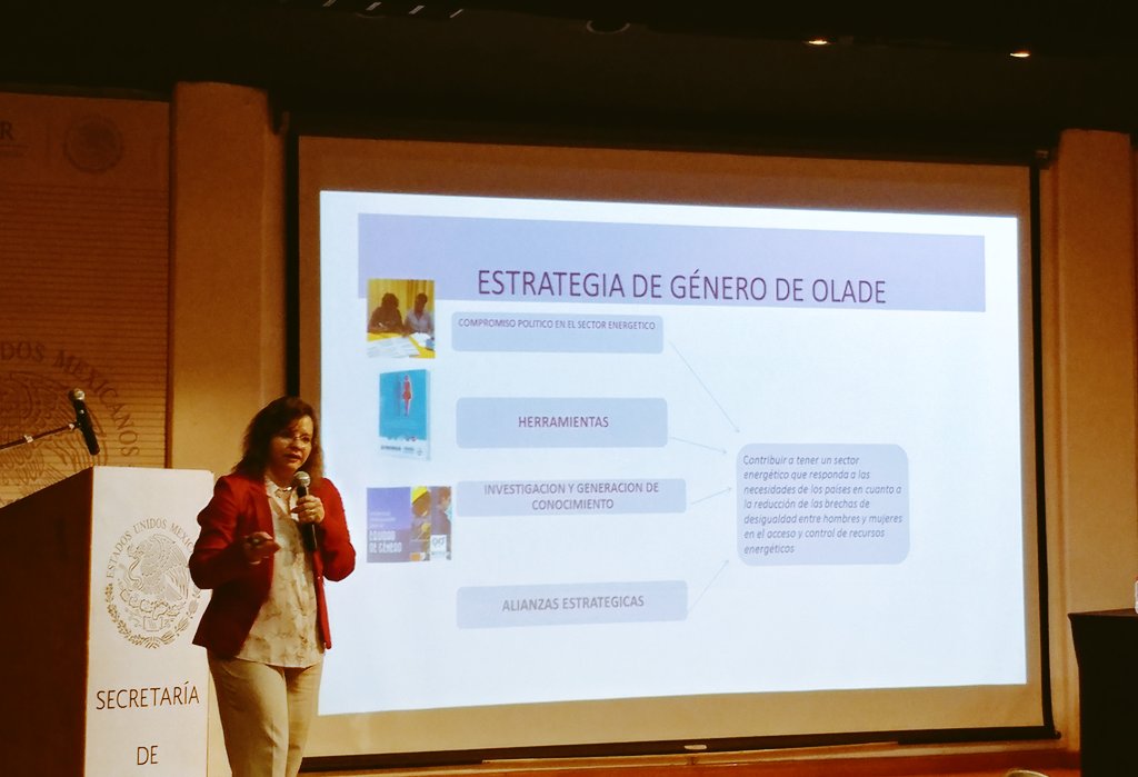 florchsandoval's tweet photo. Tercer Encuentro de #GéneroYEnergía organizado por @SENER_mx con participación de @cepal_onu y @OLADEORG https://t.co/A2R68q5S4C