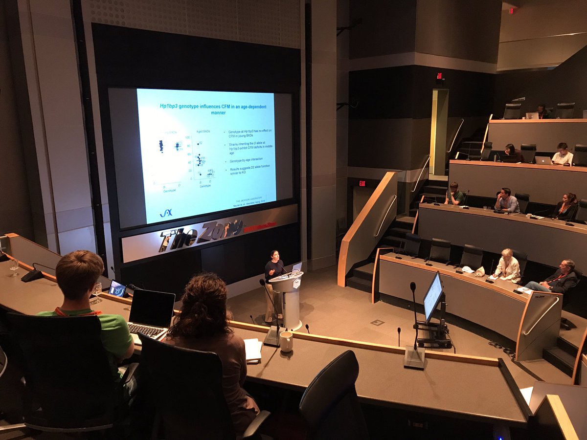 KMS_OConnell's tweet photo. @KaczorowskiLab presenting a novel role for Hp1bp3 in memory and cognitive aging #CTMem https://t.co/RuYDdYPrF4