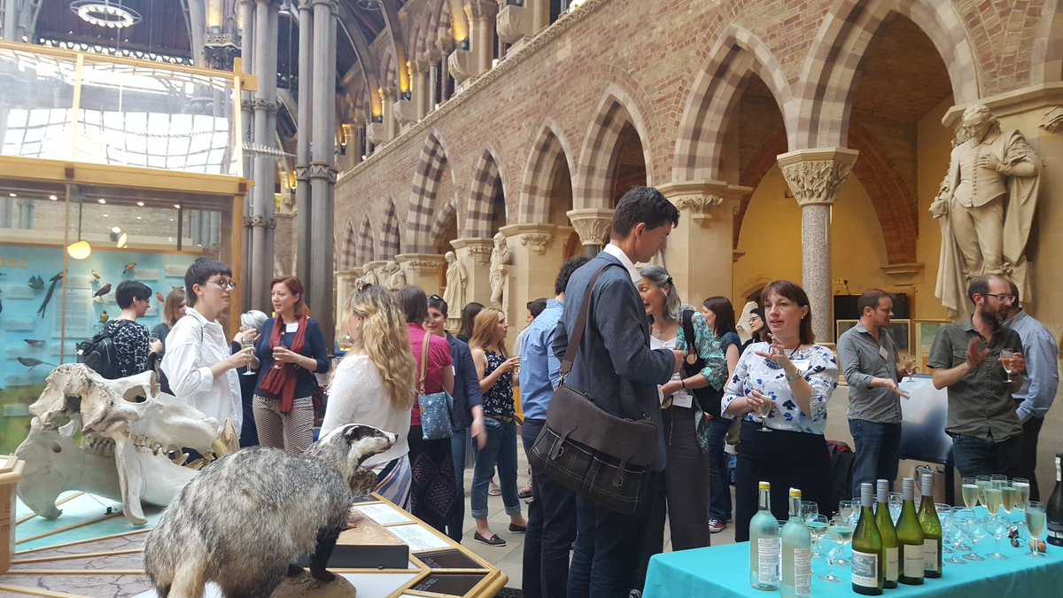 OxfordCultural's tweet photo. Networking @morethanadodo  #DLNET https://t.co/OdueQkZusf
