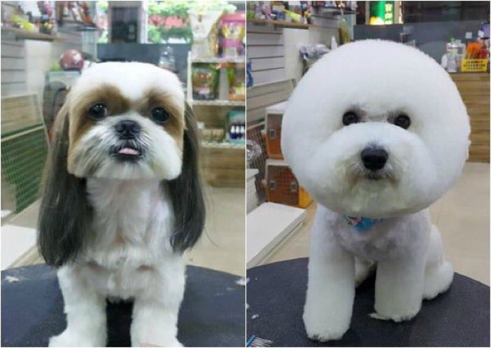 knb2307's tweet image. #NewTwitter #NewTwitterUI #newtwitterupdate 
               Old Twitter vs New Twitter