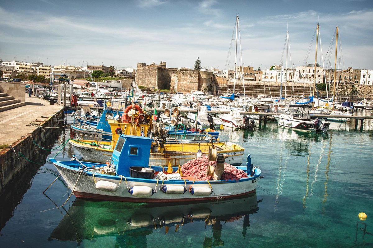 viaggiarepuglia's tweet photo. Il mare più bello d'Italia secondo @Legambiente e @TouringClub 
La Guida Blu 2017 👉https://t.co/LILaG3ulOr

#WeAreinPuglia https://t.co/L6mnXT4pD1