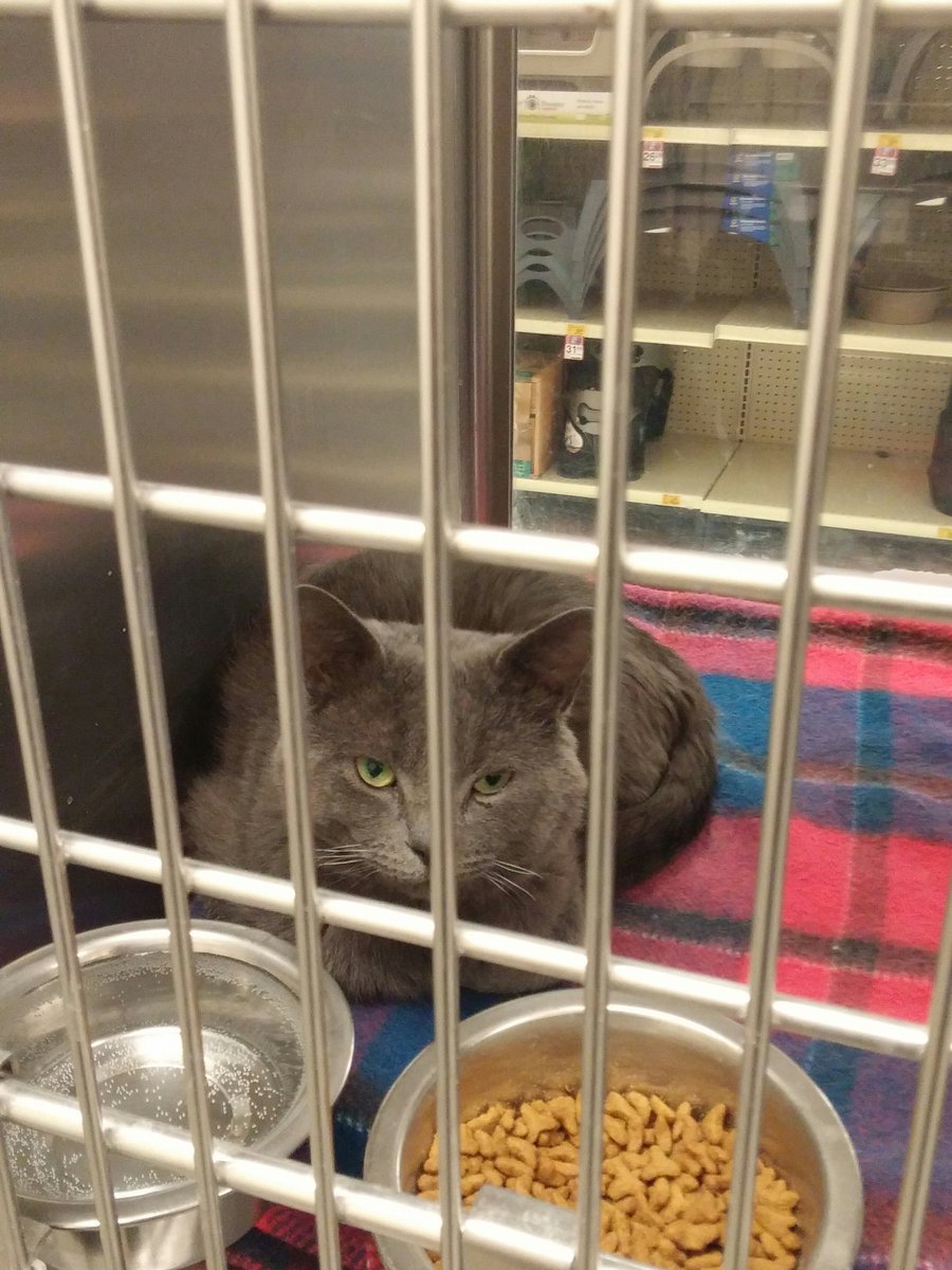 PetsmartLondon's tweet photo. https://t.co/ofDt145rjq